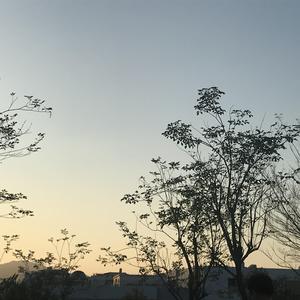 小鸟酱挑战36厘米尾巴视频大全
