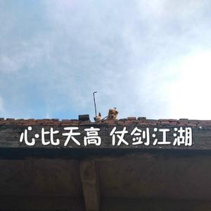 小鸟酱挑战36厘米尾巴视频大全
